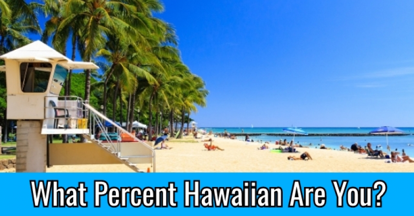 What Percent Hawaiian Are You?