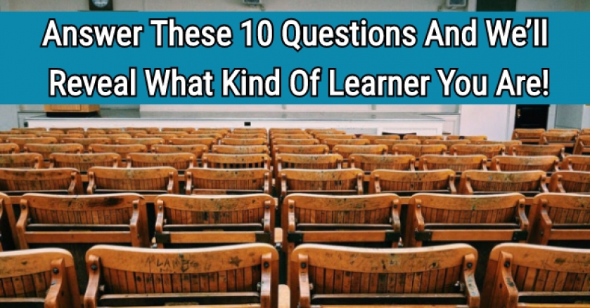 Answer These 10 Questions And We’ll Reveal What Kind Of Learner You Are!