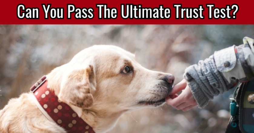 Can You Pass The Ultimate Trust Test?