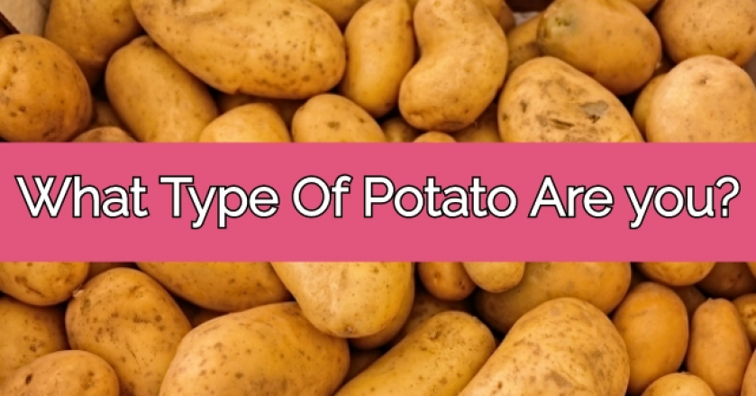 What Type Of Potato Are you? - GetFunWith