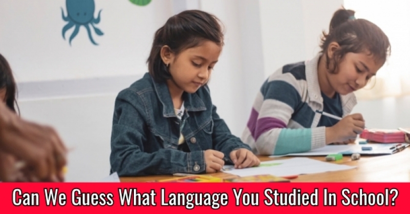 Can We Guess What Language You Studied In School?