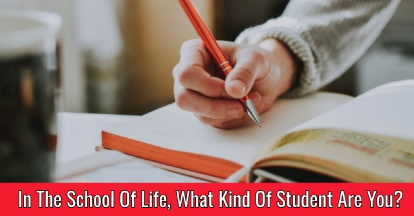 In The School Of Life, What Kind Of Student Are You?