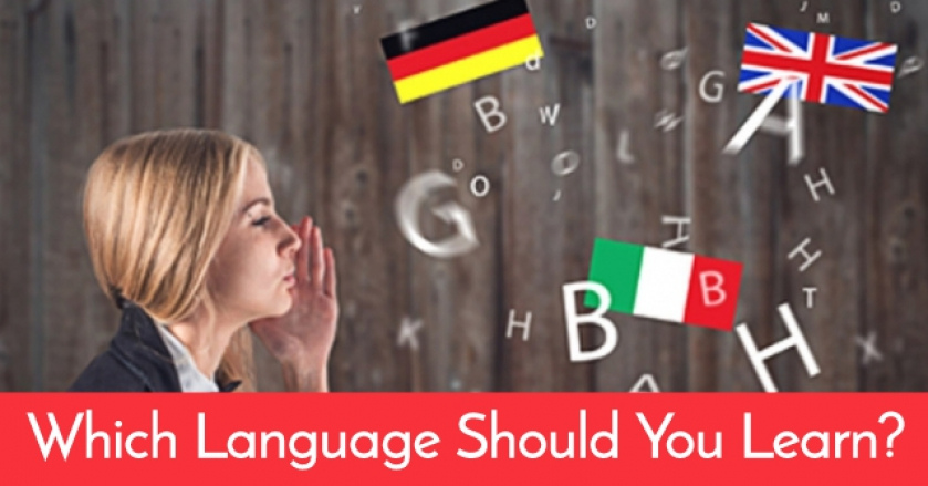 Which Language Should You Learn?