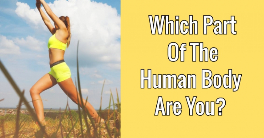 Which Part Of The Human Body Are You?