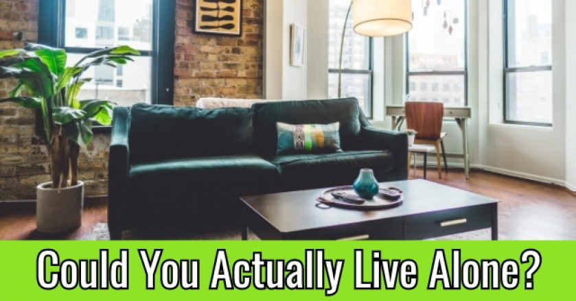 Could You Actually Live Alone?