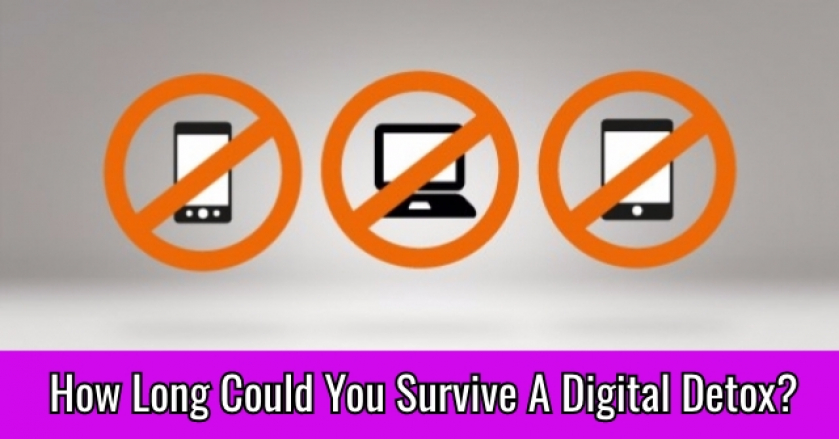 How Long Could You Survive A Digital Detox?