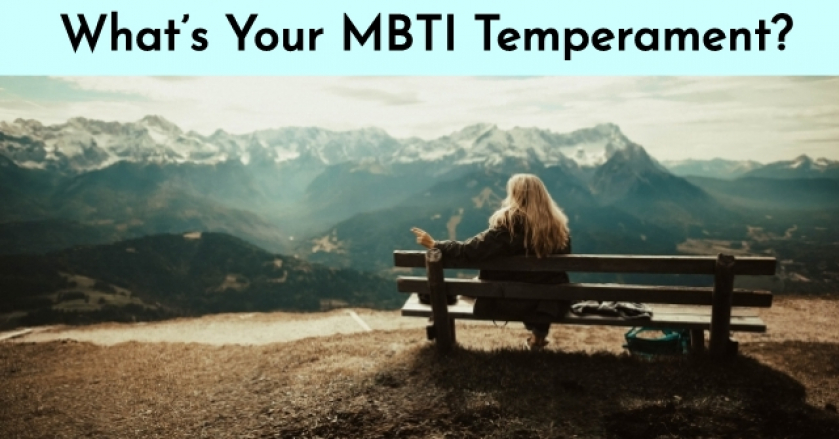 What’s Your MBTI Temperament?