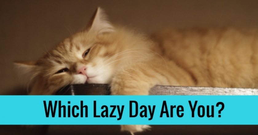 Which Lazy Day Are You?