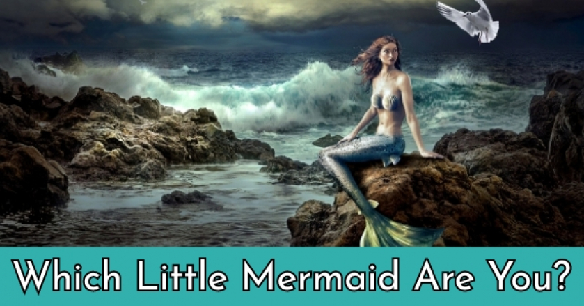 Which Little Mermaid Are You?