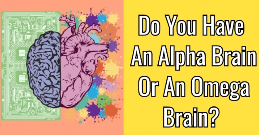 Do You Have An Alpha Brain Or An Omega Brain?