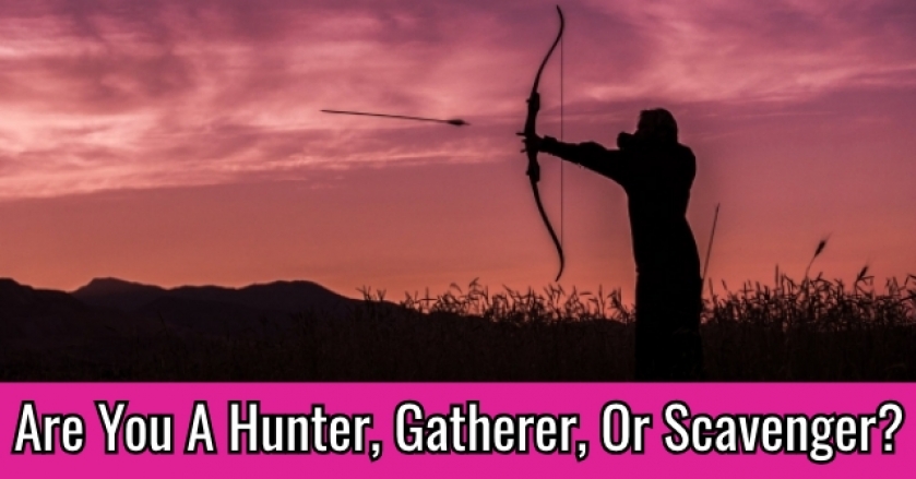 Are You A Hunter, Gatherer, Or Scavenger?