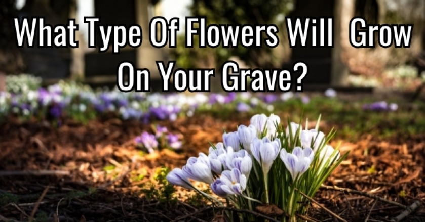 What Type Of Flowers Will Grow On Your Grave?
