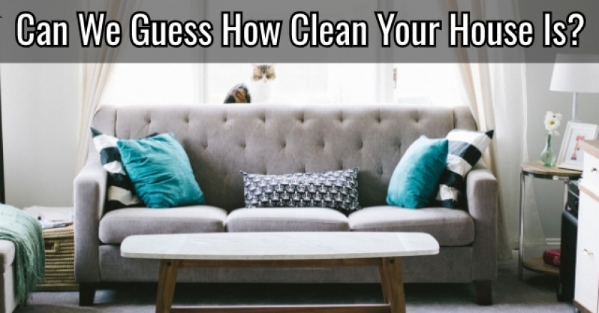 Can We Guess How Clean Your House Is?