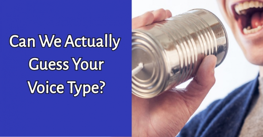 Can We Actually Guess Your Voice Type?