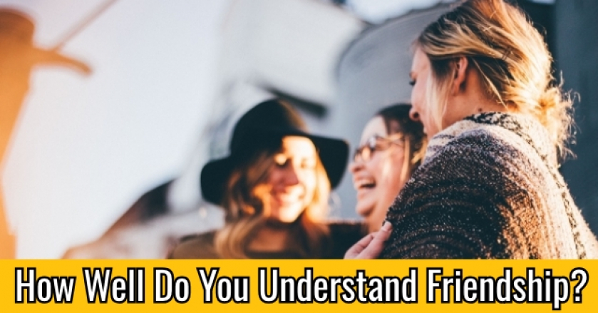 How Well Do You Understand Friendship?