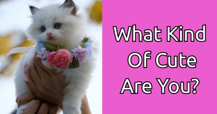 What Kind Of Cute Are You?