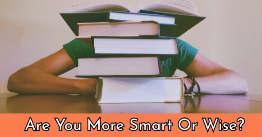 Are You More Smart Or Wise?