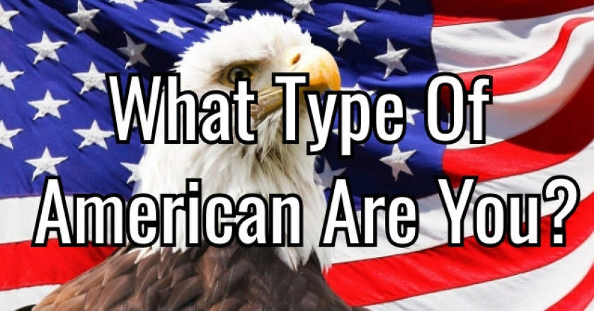 What Type Of American Are You?