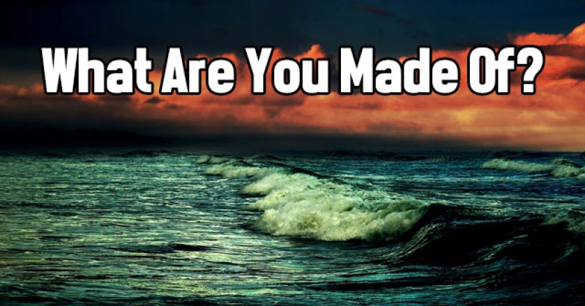 What Are You Made Of?