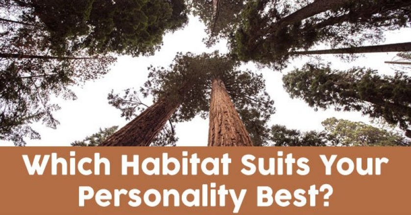 Which Habitat Suits Your Personality Best?