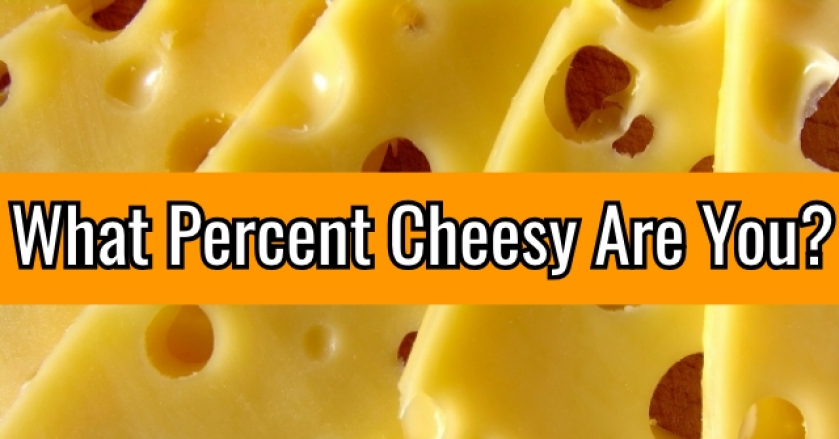 What Percent Cheesy Are You?