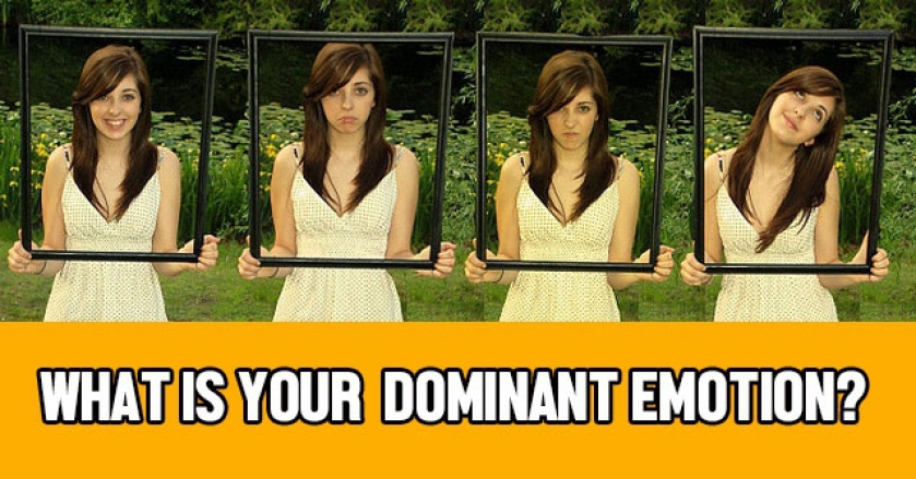 What is Your Dominant Emotion?