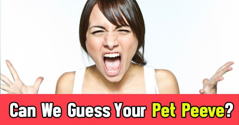 Can We Guess Your Pet Peeve?