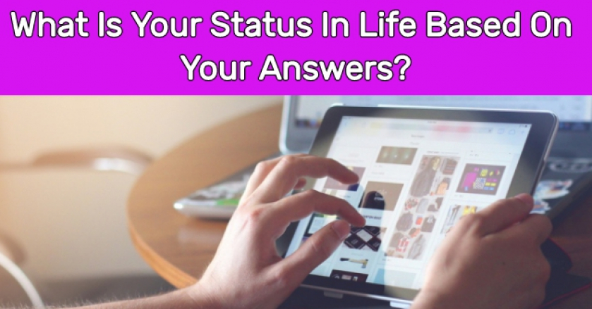 What Is Your Status In Life Based On Your Answers?