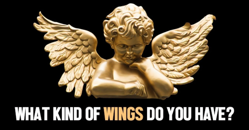 What Kind Of Wings Do You Have?