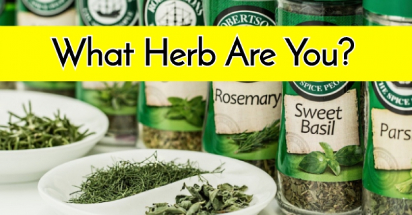 What Herb Are You?