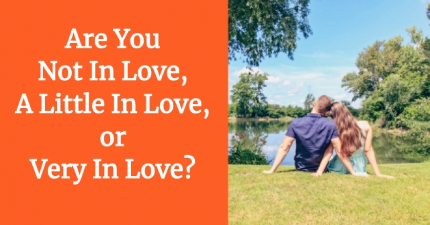 Are You Not In Love, A Little In Love, or Very In Love?