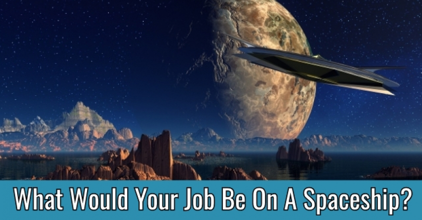 What Would Your Job Be On A Spaceship?