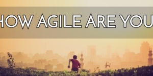 How Agile Are You?