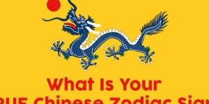 What Is Your TRUE Chinese Zodiac Sign?