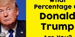 What Percentage Of Donald Trump Are You?