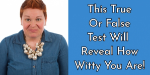 This True Or False Test Will Reveal How Witty You Are!