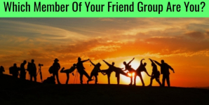 Which Member Of Your Friend Group Are You?