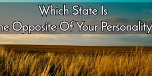 Which State Is The Opposite Of Your Personality?