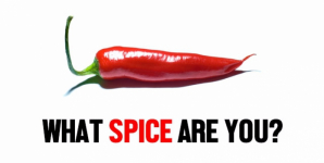 What Spice Are You?