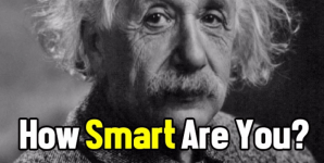 How Smart Are You?