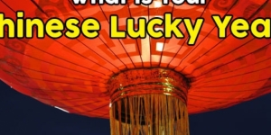 What Is Your Chinese Lucky Year?