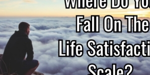 Where Do You Fall On the Life Satisfaction Scale?