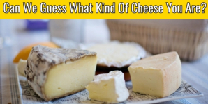 Can We Guess What Kind Of Cheese you Are?