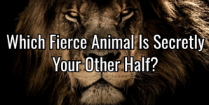 Which Fierce Animal Is Secretly Your Other Half?