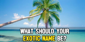 What Should Your Exotic Name Be?