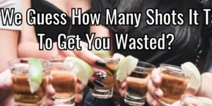 Can We Guess How Many Shots It Takes To Get You Wasted?