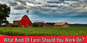 What Kind Of Farm Should You Work On?