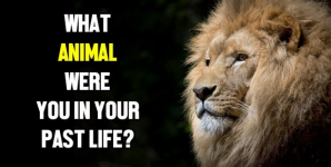 What Animal Were You In Your Past Life?