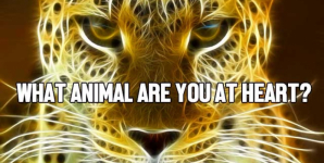 What Animal Are You At Heart?