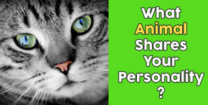 What Animal Shares Your Personality?